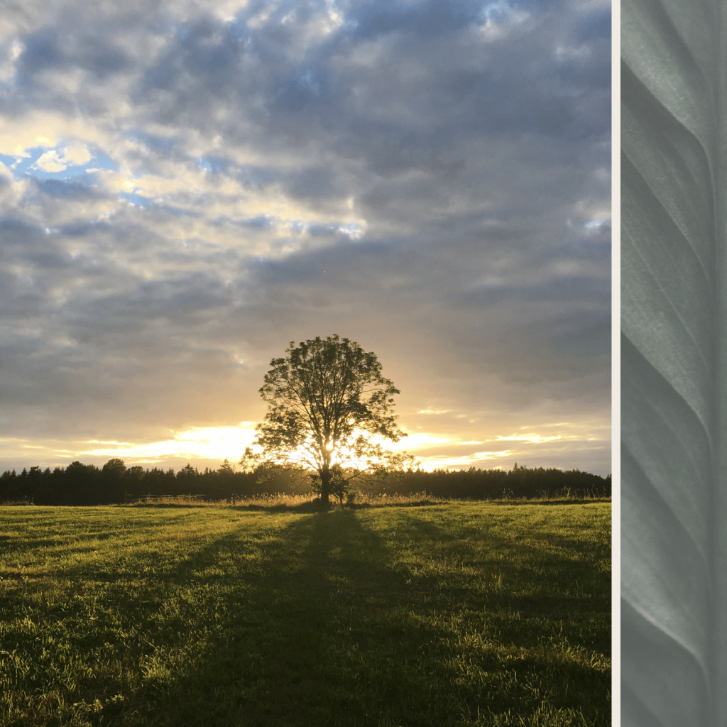 Life transitions that call for professional advice (even if you think you don’t need it)